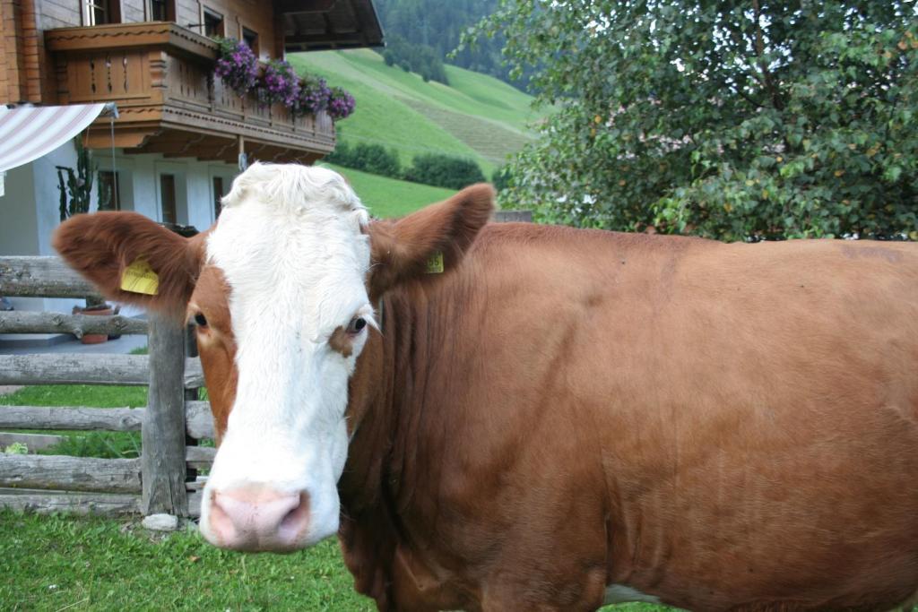 Garni Biancaneve Ruffre-Mendola Zewnętrze zdjęcie